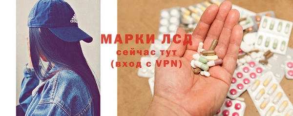 прущая мука Вяземский