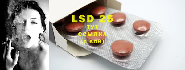 прущая мука Вяземский