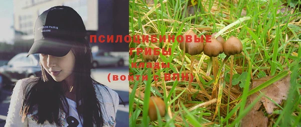прущая мука Вяземский