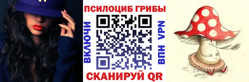 Псилоцибиновые грибы мицелий  купить закладку  гидра сайт  Мценск 